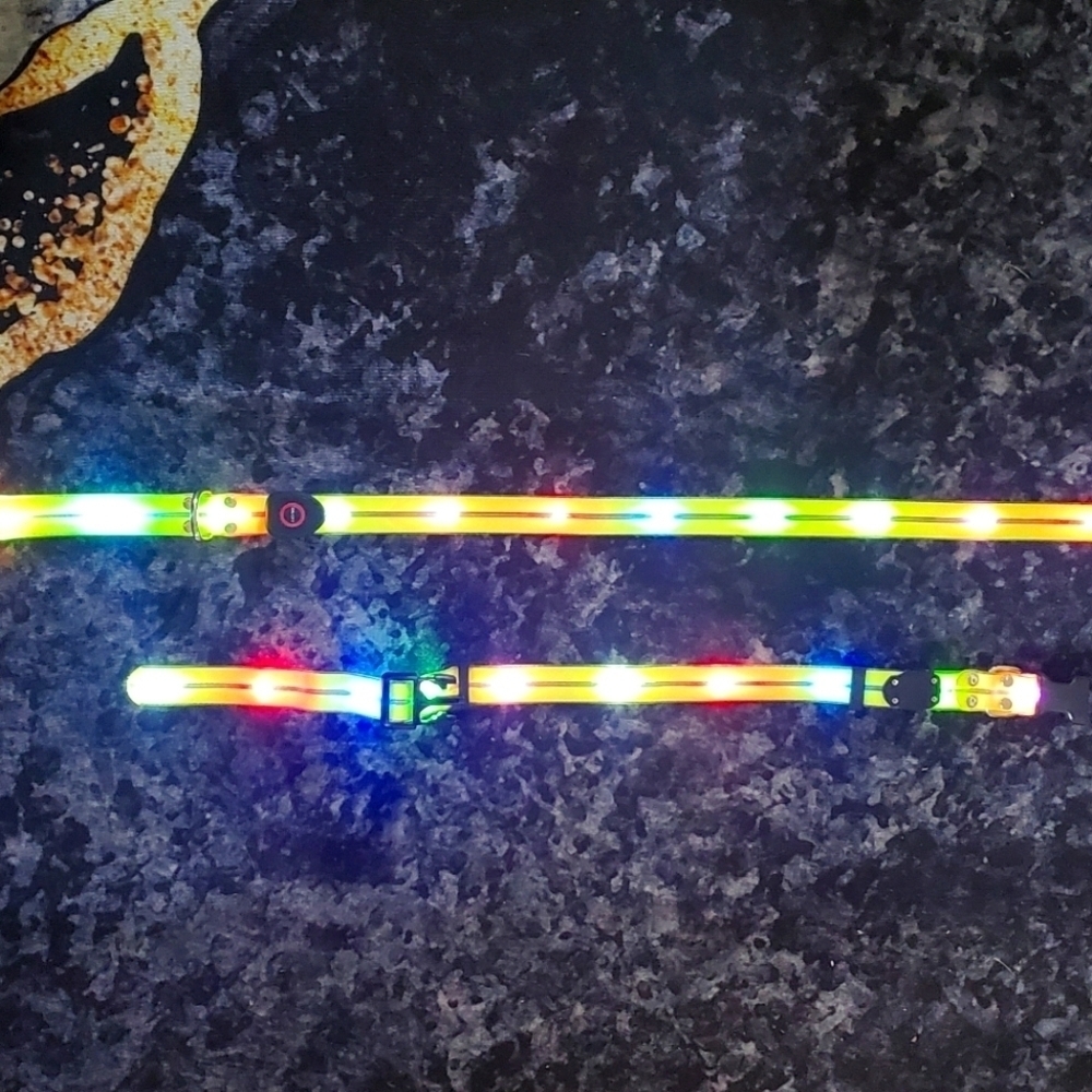 Light Up Leash and Collar with 3 Modes, USB charger Included - Picture 4 of 8